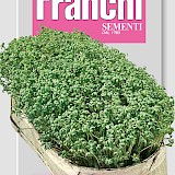 Franchi Tuinkers Zaden Crescione Comune