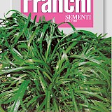 Franchi Weegbree Zaden Erba Stella