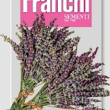 Franchi Lavendel Zaden Lavanda Vera