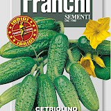 Franchi Augurk Zaden Cetriolino Levina F1
