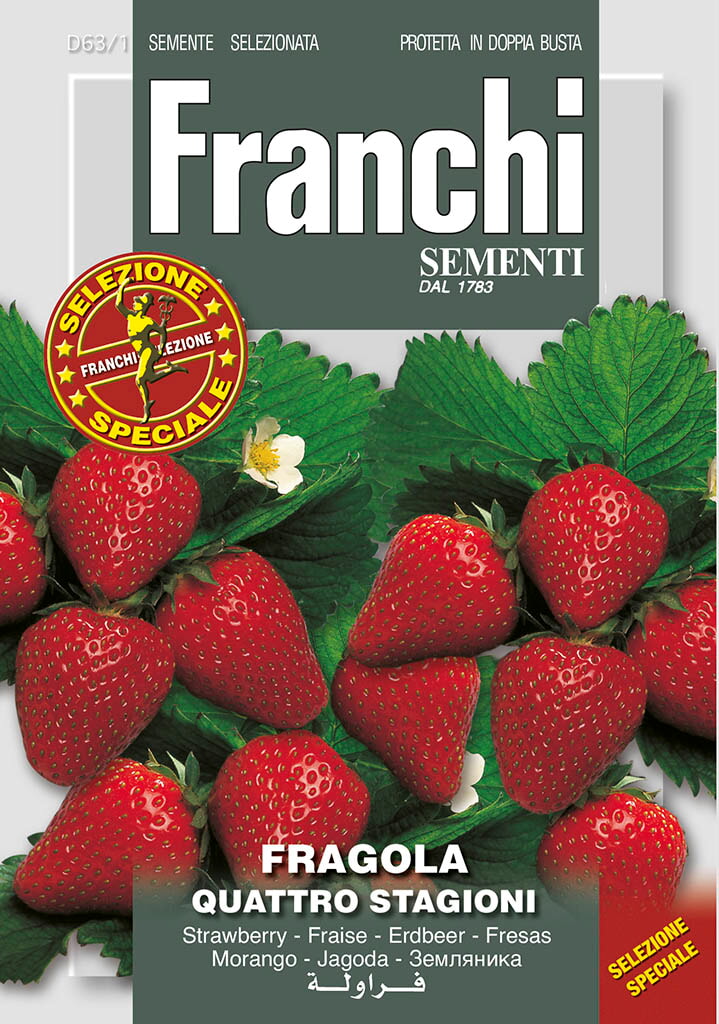 Franchi Aardbei Zaden Fragola Quattro Stagioni