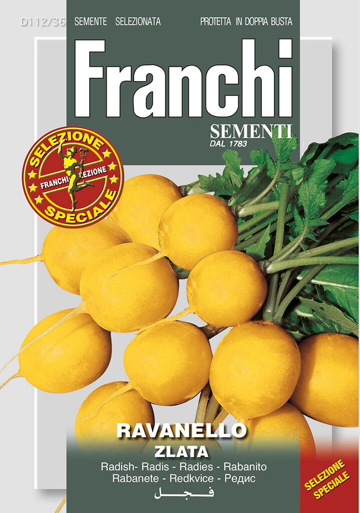 Franchi Radijs Zaden Ravanello Zlata