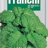 Franchi Basilicum Zaden Basilico Foglie Di Lattuga