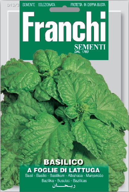 Franchi Basilicum Zaden Basilico Foglie Di Lattuga