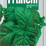 Franchi Basilicum Zaden Basilico Bolloso Napoletano