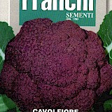 Franchi Bloemkool Zaden Cavolfiore Sicilia Violetto