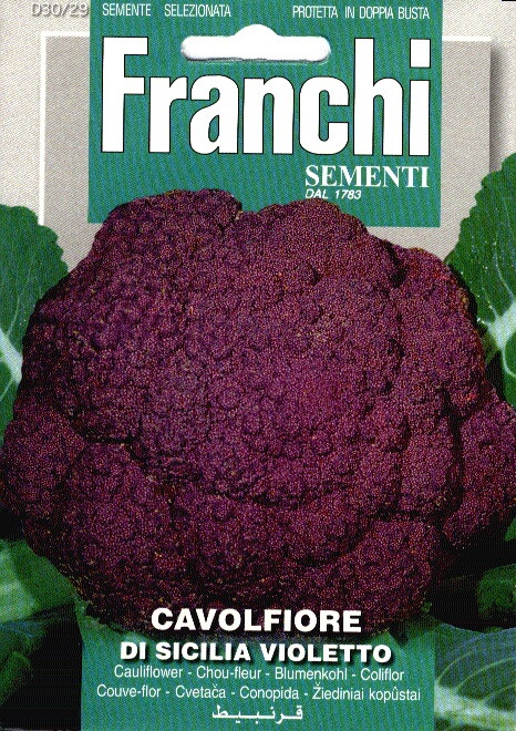 Franchi Bloemkool Zaden Cavolfiore Sicilia Violetto