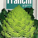 Franchi Bloemkool Zaden Cavolfiore Romanesco Precoce