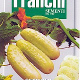 Franchi Komkommer Zaden Cetriolo White Wonder