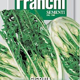 Franchi Cichorei Zaden Cicoria Catalogna Puntarelle Brindisina