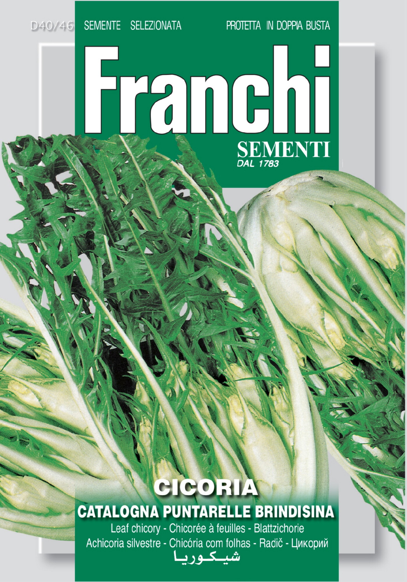 Franchi Cichorei Zaden Cicoria Catalogna Puntarelle Brindisina
