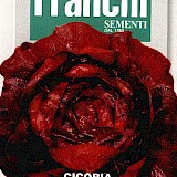 Franchi Roodlof Zaden Cicoria Orchidea Rossa