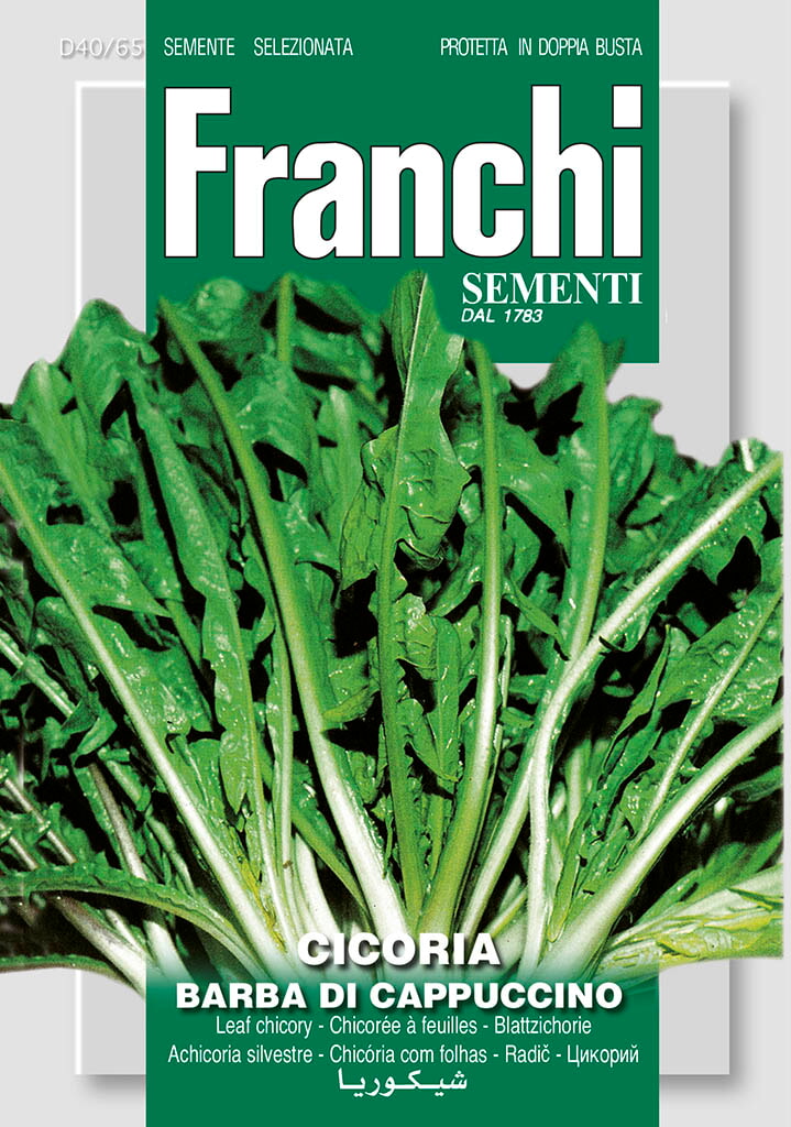Franchi Cichorei Zaden Cicoria Barba Di Cappuccino