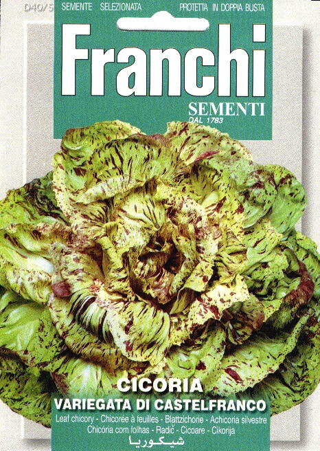 Franchi Radicchio Zaden Cicoria Castelfranco