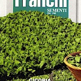 Franchi Cichorei Zaden Cicoria Di Trieste