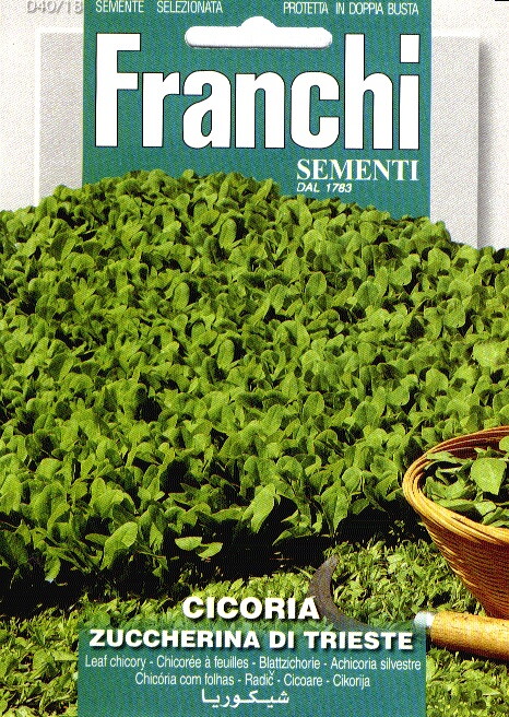 Franchi Cichorei Zaden Cicoria Di Trieste