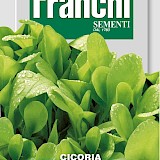 Franchi Cichorei Zaden Cicoria Bonda Foglie Larghe