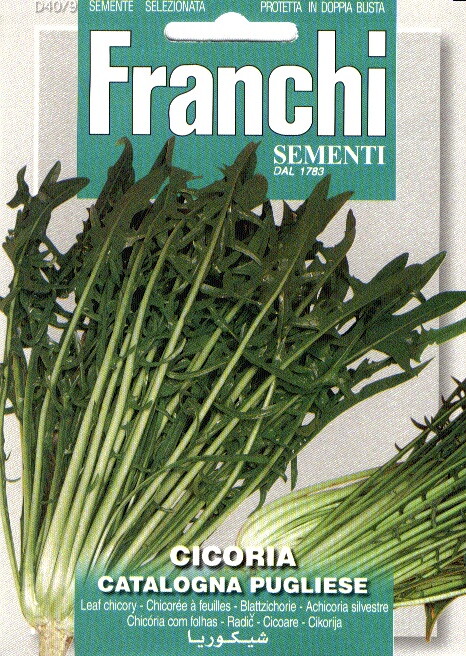 Franchi Cichorei Zaden Cicoria Catalogna Pugliese
