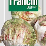 Franchi Cichorei Zaden Cicoria Var Di Lusia