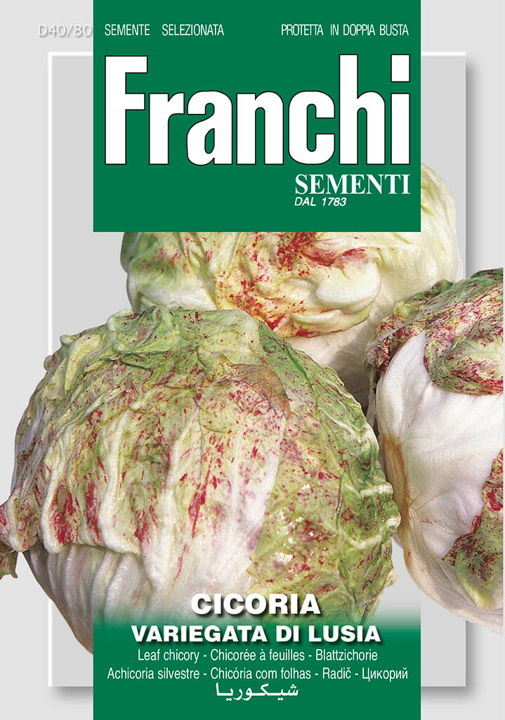 Franchi Cichorei Zaden Cicoria Var Di Lusia