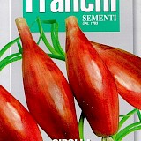 Franchi Ui Zaden Cipolla Rossa Lunga Da Firenze