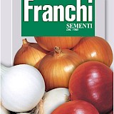 Franchi Ui Zaden Tris Di Cipolle