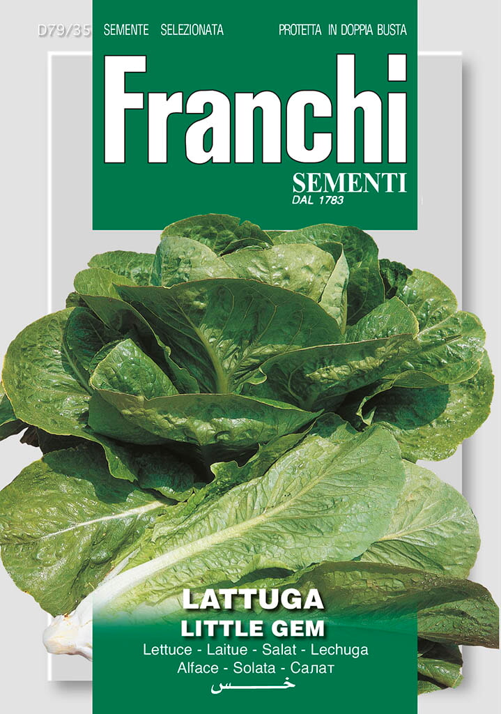 Franchi Sla Zaden Lattuga Little Gem