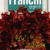 Franchi Kropsla Zaden Lattuga Riccia Invernale