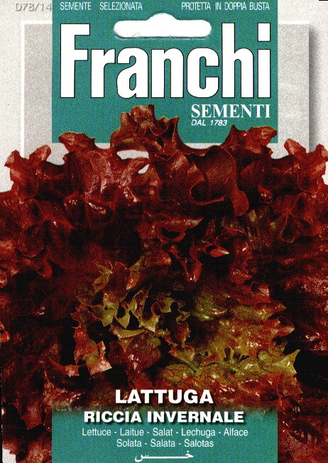 Franchi Kropsla Zaden Lattuga Riccia Invernale