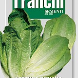 Franchi Sla Zaden Lattuga Bionda