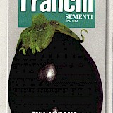 Franchi Aubergine Zaden Melanzana Black Beauty