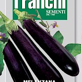 Franchi Aubergine Zaden Melanzana Violetta Lunga 2