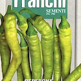 Franchi Peper Zaden Peperone Lombardo