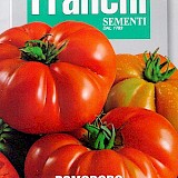 Franchi Vleestomaat Zaden Pomodoro Costoluto Fiorentino