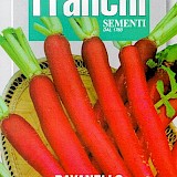 Franchi Radijs Zaden Ravanello Candela Di Fuoco