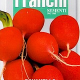 Franchi Radijs Zaden Ravanello Rosso Gigante