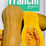 Franchi Pompoen Zaden Zucca Butternut Rugosa