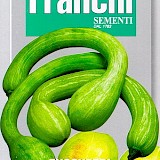 Franchi Kalebas Zaden Zucchetta Tromba D'Albenga