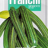 Franchi Courgette Zaden Zucchino Striato D Italia