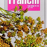 Franchi Koriander Zaden Coriandolo
