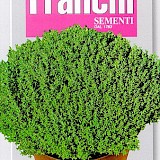 Franchi Tijm Zaden Timo Di Provenza