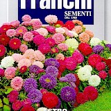 Franchi Aster Zaden Astro Nano Merveille Mix