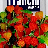 Franchi Lampionplant Zaden Physalis Franchetti