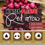 Winter Plantuien Akado (Red Arrow) 250g