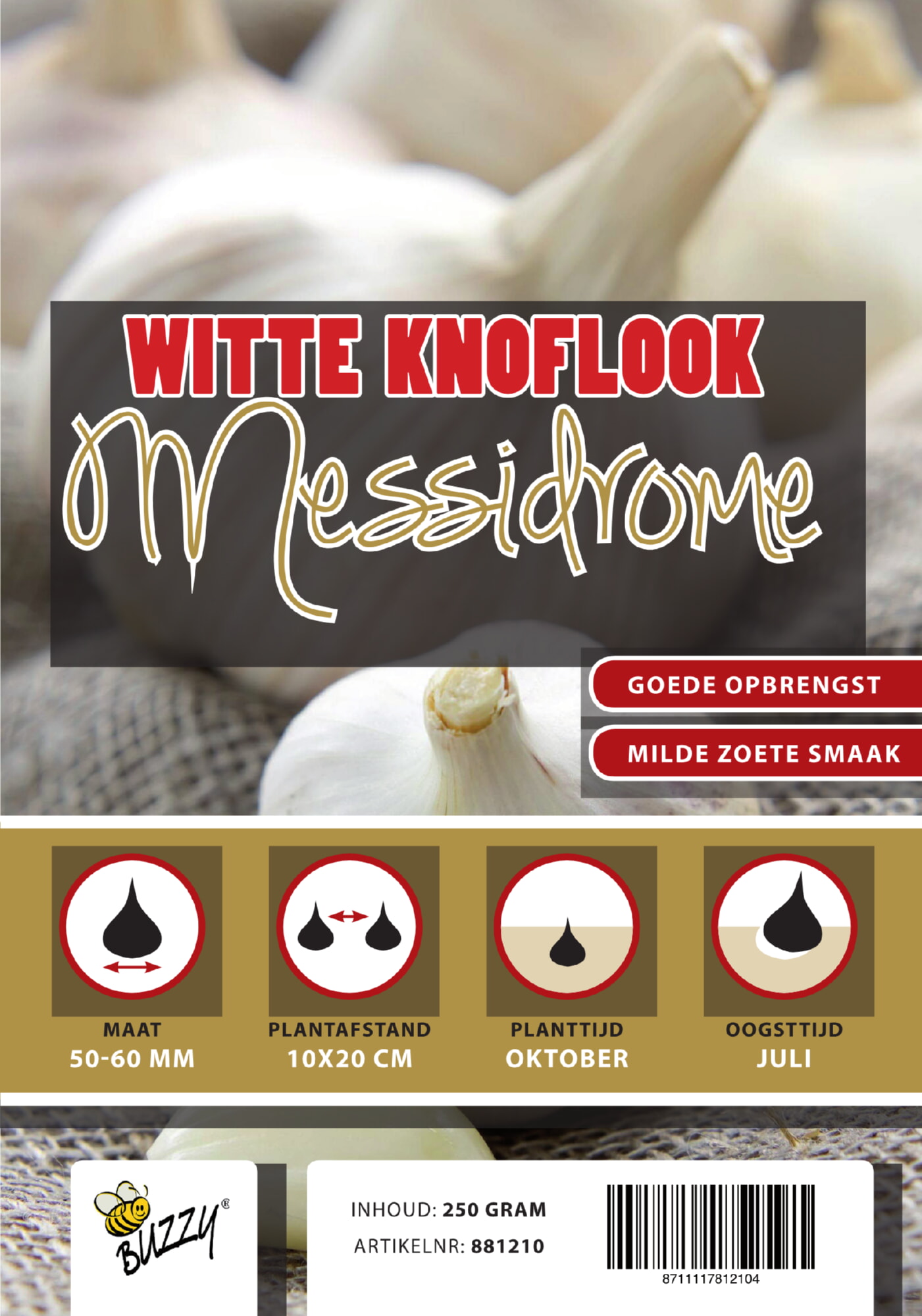 Winter Knoflook Messidrome/Germidour 5 stuks