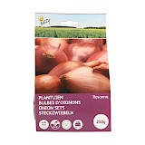 Plantuien Rosanna met Capper 250gr