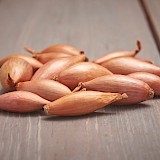 Plantsjalotten Longor 500gr