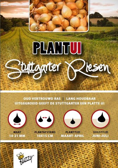Plantuien Stuttgarter Riesen 100gr