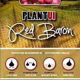 Plantuien Red Baron 250gr