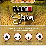 Plantuien Sturon 250gr